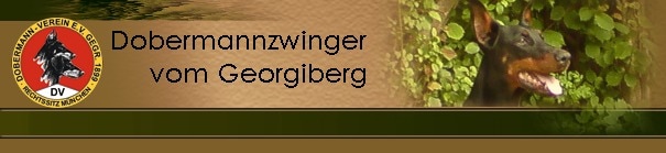 Dobermannzwinger vom Georgiberg